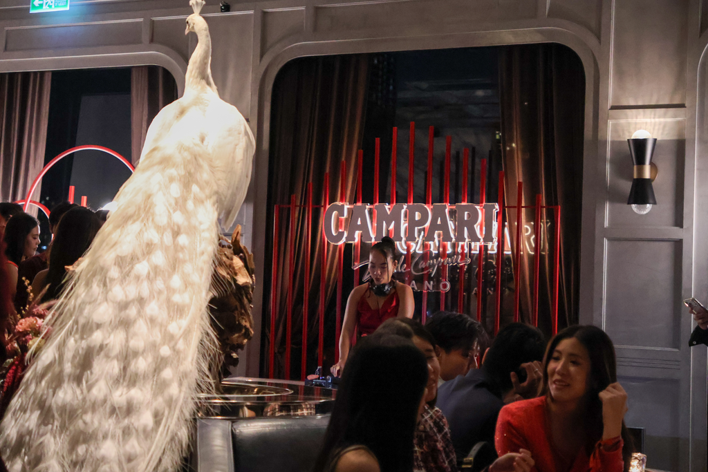 زينة Campari حمراء ومنطقة دي جي خلف الطاووس الأبيض.