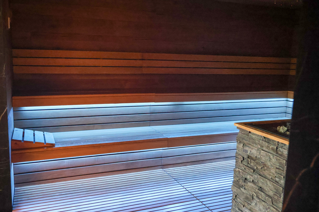 ไฟน้ำเงินสองแนวใต้ไม้และฮีตเตอร์กรุหินใน Bio Sauna
